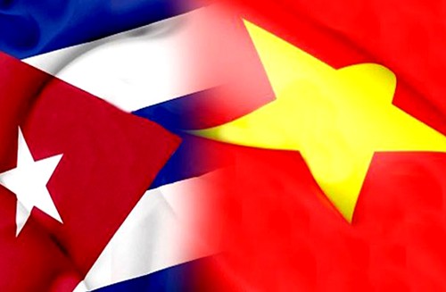 Vertiefung der traditionellen Beziehungen zwischen Vietnam und Kuba - ảnh 1